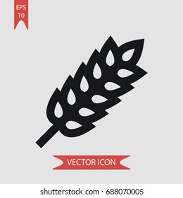 Wheat vector icon, illustration symbol