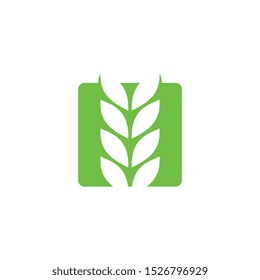 wheat vector icon illustration template, logo design