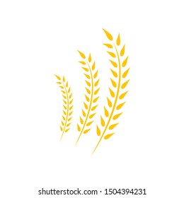 Wheat vector icon logo design