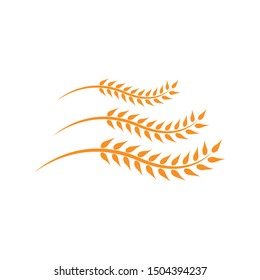 Wheat vector icon logo design
