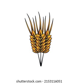 wheat vector icon simple on a white background 