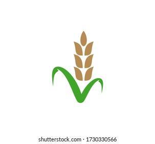 
Wheat Vector Icon.Grain Logo Design.
