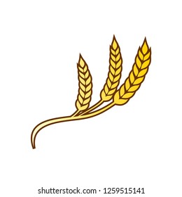 Wheat vector illustration