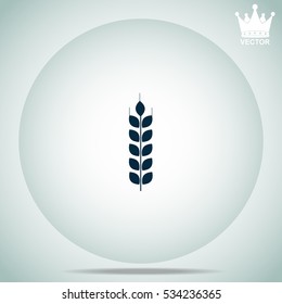 Wheat  vector illustration.