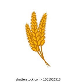 Wheat vector illustration isolated on white background