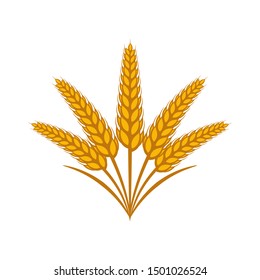 Wheat vector illustration isolated on white background