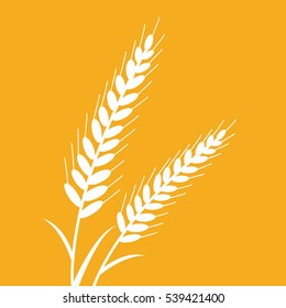 A Wheat vector illustration isolated in a yellow background