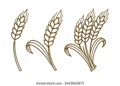 Wheat Vector Line Art Illustration Set Featuring Grain Stalks and Ears in a Simple Design