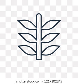 Wheat vector outline icon isolated on transparent background, high quality linear Wheat transparency concept can be used web and mobile
