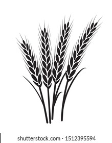 Wheat vector plant grain icon illustration. Wheat field harvest design agriculture.