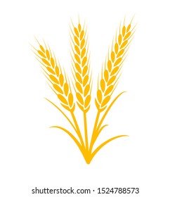 Wheat vector plant grain icon illustration. Wheat field harvest design agriculture.