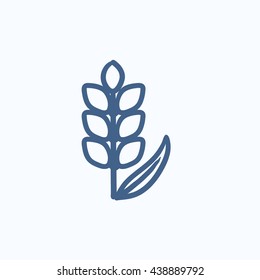 Icono de esbozo vectorial de trigo aislado en el fondo. Icono de Trigo dibujado a mano. Icono de sketch de trigo para infografía, sitio web o aplicación.