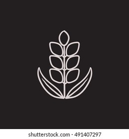 Wheat vector sketch icon isolated on background. Hand drawn Wheat icon. Wheat sketch icon for infographic, website or app.