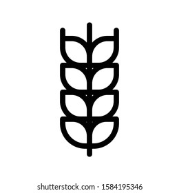 wheat vector thin line icon 