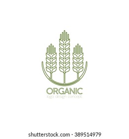 wheat - vector thin line logo concept illustration. The organic logo. Ecology logo. Biology. Nature logo. Agriculture logo. Vector logo template. Design elements