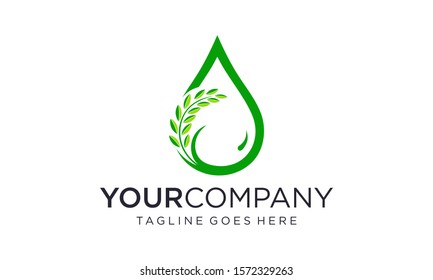 Wheat and water drop logo design concept