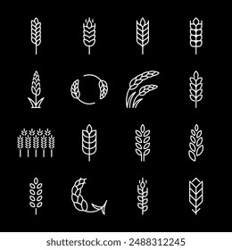 Wheat, white line icons. Various shapes and representations of wheat ears. Perfect for agricultural and food production themes. Symbols on black background. Editable stroke.