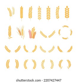 Wheat wreath or barley ears set. Harvest wheat grain, growth rice stalk and whole bread grains or field cereal nutritious rye grained agriculture products symbol. Vector illustration