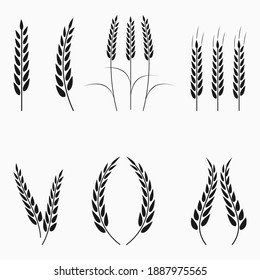 Weizen- und Getreidespitzen setzen Symbole auf Vektorgrafik