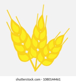 Wheat yellow cereals vector illustration. Organic grain ears. Symbol of wheat is healthy food.