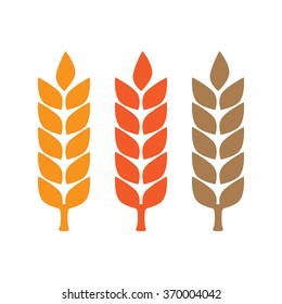 Wheat yellow gluten free grain