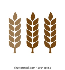 Wheat yellow gluten free grain