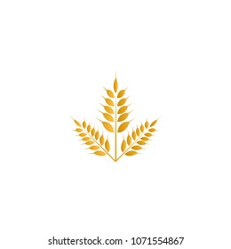Wheat yellow logo icon template vector