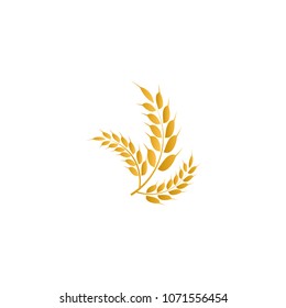 Wheat yellow logo icon template vector