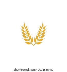 Wheat yellow logo icon template vector