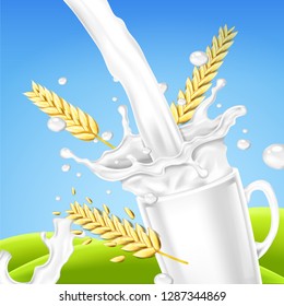 Wheata and milk. Realistic vector illustration. Milk splashes from cup.