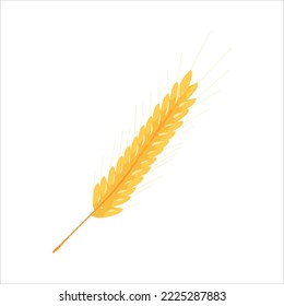 Wheatear. A grain of wheat. Cereals. Bakery. Vector illustration on a white background.