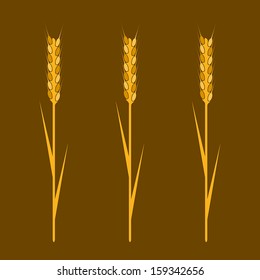 Wheaten ear- Design element. EPS10 vector image.