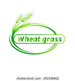 Wheatgrass green juice. Logo, banner, frame for business, the store site for clean super food or paleodieta on a white background. Vector illustration