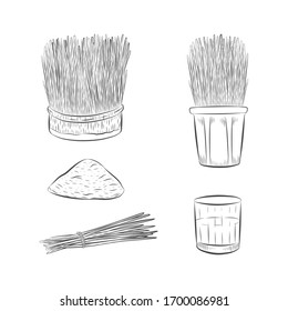 Wheatgrass growing vector collection. Glass of vitamin raw juice. Hand drawn healthy nutrition set. Bunch of wheat grass tied with a rope.