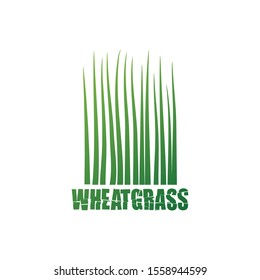 Wheatgrass illustration, vector design element