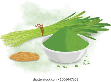 Wheatgrass vector illustration with wheat-grass powder and seeds.