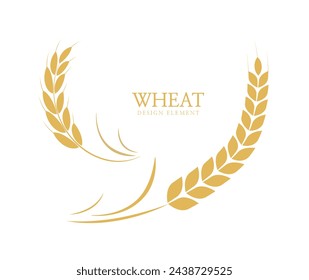 Wheats rye rice ears. barley field cereal nutritious. Agriculture wheat Template. Vector illustration