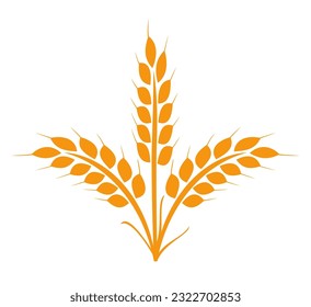 Wheats rye rice ears icons design elements of organic agricultural food. Harvest wheat grain for beer logo, growth rice stalk and whole bread grains, barley field cereal nutritious - stock vector