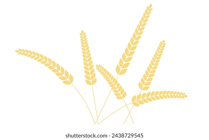 Trigo, centeno, orejas de arroz. Arroz agricultura natural orgánica. Ilustración de vector