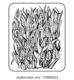 Wheat.Vector illustration.