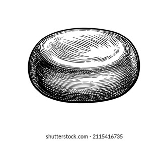 Wheel of cheese. Ink sketch isolated on white background. Hand drawn vector illustration. Vintage style stroke drawing.