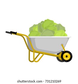 Wheelbarrow and cabbage. vegetables in garden trolley. big harvest Vector Illustration