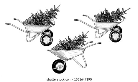 Wheelbarrow with Christmas tree. Hand drawn vintage illustration. Vector clipart. Christmas decor. 