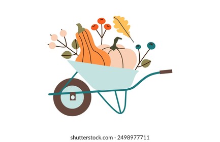 Wheelbarrow with colorful pumpkins. Autumn harvest. Preparation for Halloween. Autumn mood. Leaves fall. Vector flat illustration isolate on white .