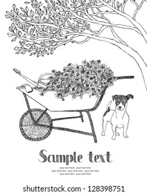 Wheelbarrow Garden