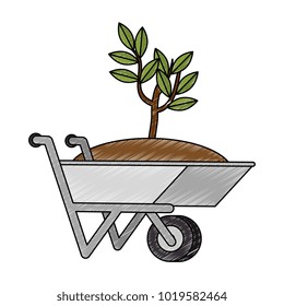 wheelbarrow with ground and plant