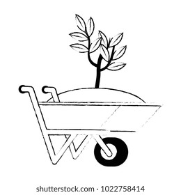 wheelbarrow with ground and plant