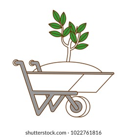 wheelbarrow with ground and plant