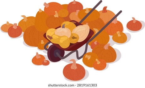 Wheelbarrow loaded and pumpkins