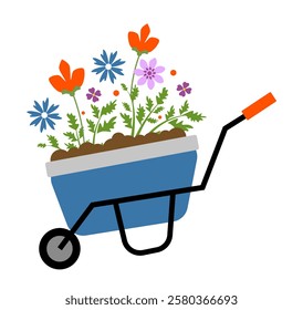 A wheelbarrow with spring flowers on a white background. Garden tools